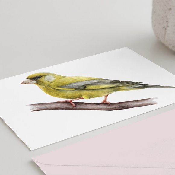 Greenfinch Bird Wall Art Watercolor Illustration Print Poster Card Unframed - Picture 5 of 5